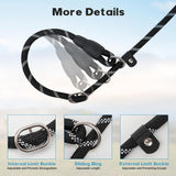 1.8m Long Dog Training Leash - Durable, tension-free polyester dog leash with two padded handles and reflective thread - For small and medium-sized dogs - Black