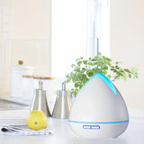 Essential Oils Ultrasonic Aromatherapy Diffuser Air Humidifier Purify The Yak Merchant