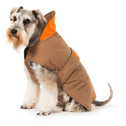 Dog Brown Coat